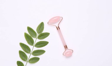 Beyaz arka planda yeşil yapraklı yüz masajcısı. Üst görünüm