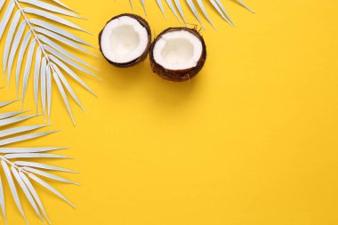 White palm leaves with coconut on yellow background. Creative tropical layout. Copy space