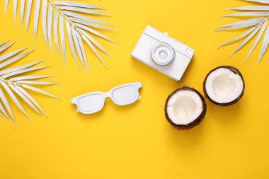 White sunglasses, camera and palm leaves on a yellow background. Minimal travel, tropical layout. Top view