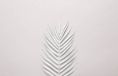 White palm leaf on a gray background. Minimalism