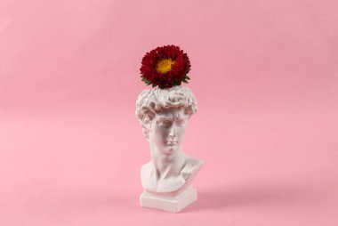David 'in pembe arka planda çiçekli alçı büstü. Minimum yerleşim. Narsisizm