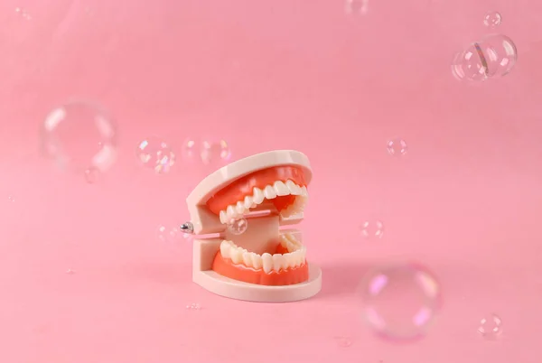 Ludzki Model Szczęki Pływającymi Bańkami Mydła Różowym Tle Minimalny Układ — Zdjęcie stockowe