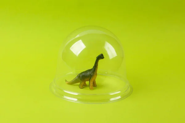 toy dinosaur under transparent dome on green background