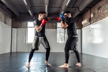 Boks eldivenli bir boksörün iki antrenman arkadaşı spor salonunda tekme atıyorlar.