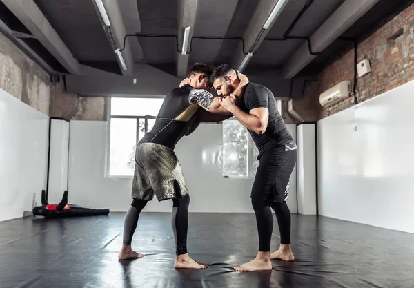 Sparring training of two athletic mma fighters in the gym. Martial arts, Wrestling