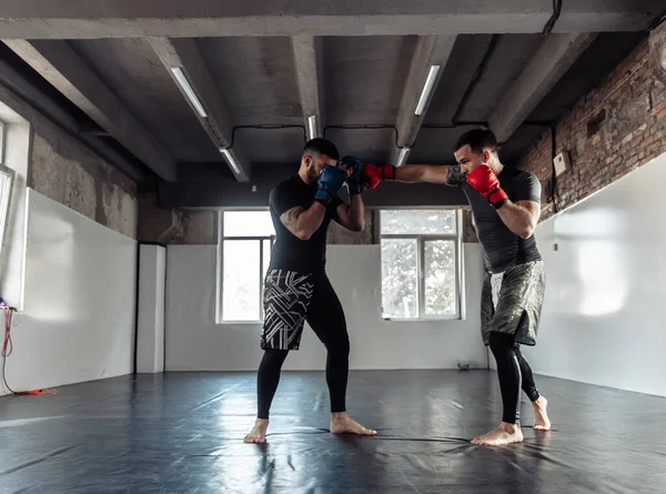 Two sparring partners of a kickboxer in boxing gloves practice kicks in a sports hall