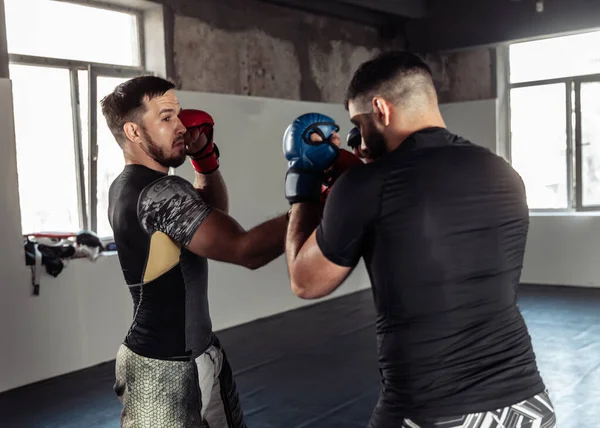 Dos Compañeros Combate Kickboxer Guantes Boxeo Practican Patadas Pabellón Deportivo —  Fotos de Stock