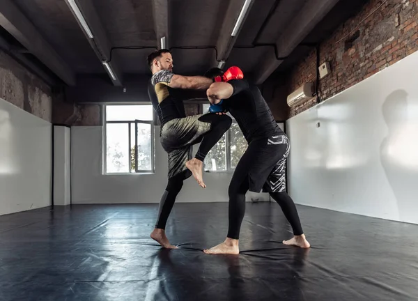 Two sparring partners of a kickboxer in boxing gloves practice kicks in a sports hall