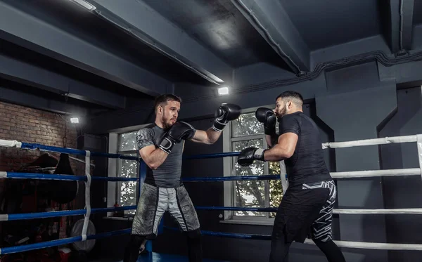 Två Kickboxare Boxare Slåss Med Handskar Boxningsring Sparande Partner — Stockfoto