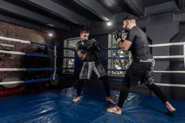 Två Kickboxare Boxare Slåss Med Handskar Boxningsring Sparande Partner — Stockfoto