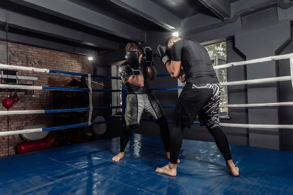 Två Kickboxare Boxare Slåss Med Handskar Boxningsring Sparande Partner — Stockfoto