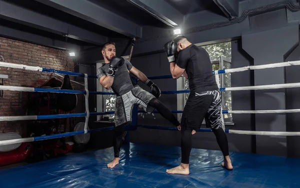 Två Kickboxare Boxare Slåss Med Handskar Boxningsring Sparande Partner — Stockfoto