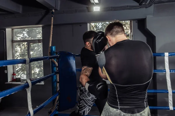 Dois Kickboxers Lutadores Lutam Com Luvas Num Ringue Boxe Parceiros — Fotografia de Stock