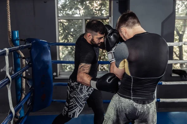 Två Kickboxare Boxare Slåss Med Handskar Boxningsring Sparande Partner — Stockfoto