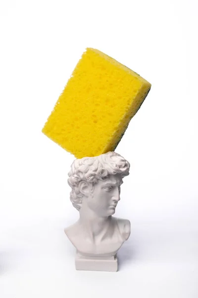 David Bust Vase Sponge Isolated White Background — Φωτογραφία Αρχείου