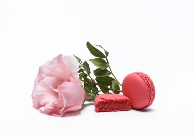 Pink macaroon with flower isolated on white background. French sweet delicacy, popular dessert