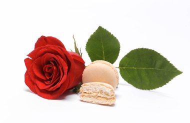 Pink macaroon with rose flower isolated on white background. French sweet delicacy, popular dessert
