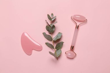 Massage facial roller and a stone with a sprig of eucalyptus on a pink background. Beauty, facial skin care concept