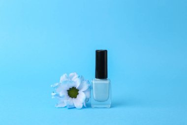 Beauty still life. Blue Nail polish bottle with flower isolated on blue background