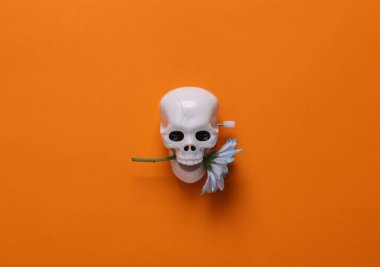 Minimal halloween still life. Skeleton skull with flower on orange background