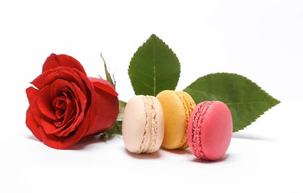 Macaroons with rose flower isolated on white background. French sweet delicacy, popular dessert