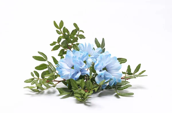 Aesthetic composition of blue flowers with branches isolated on white background
