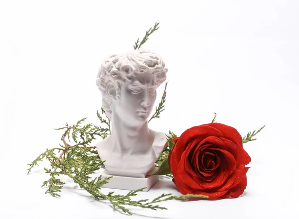 Aesthetic still life, David bust with rose flower isolated on a white background. Romantic, love concept