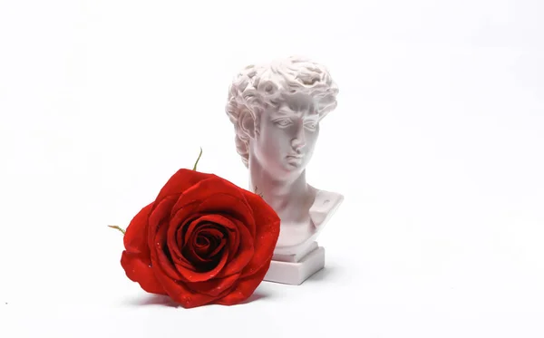 Aesthetic still life, David bust with red rose flower isolated on a white background. Romantic, love concept