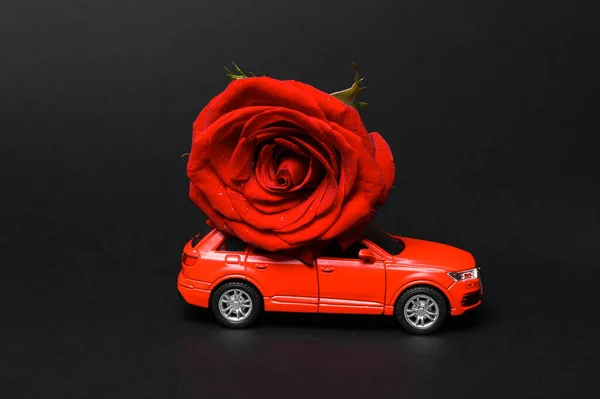 Flower delivery, romantic concept. Valentine\'s Day. Model car with red rose on black background