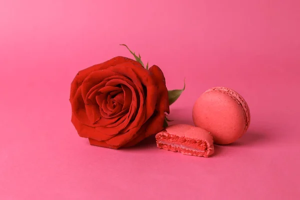 Pink macaroon with red rose on pink background. French sweet delicacy. Color trend