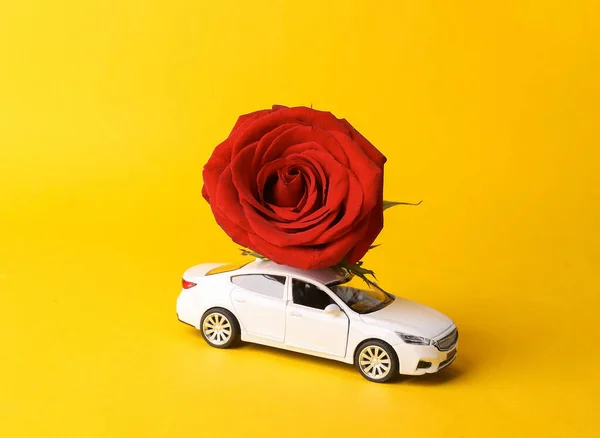 Flower delivery, romantic concept. Valentine\'s Day. Model car with red rose on yellow background