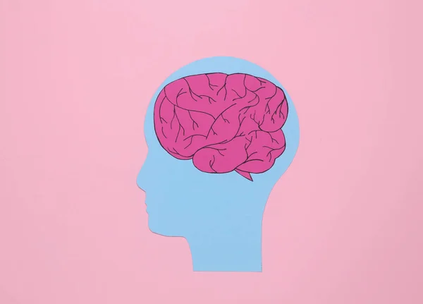 Paper cut human head with brain on pink background