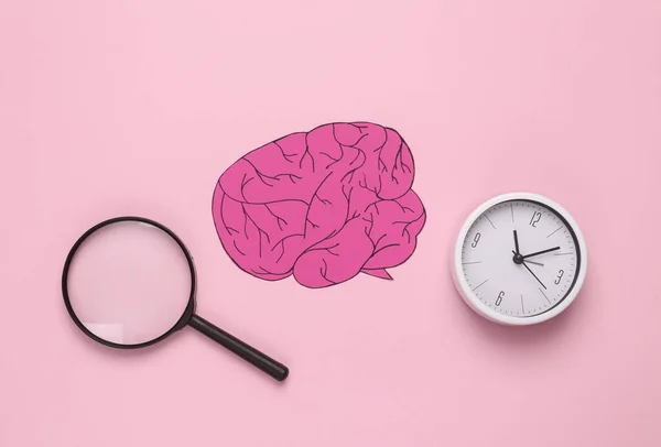 Intellectual, learning concept. Paper brain with magnifying glass and clock on pink background