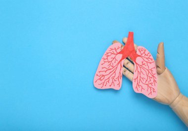 Akciğer sağlığı konsepti. Ahşap el mavi arka planda insan ciğerlerini tutuyor.