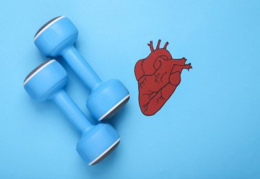Sağlıklı kalp konsepti. Mavi arka planda anatomik kalbi olan dambıllar.