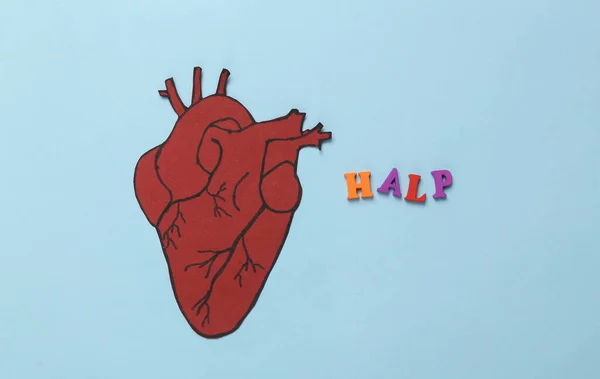 Begreppet Behandling Hjärtsjukdomar Anatomiskt Papper Hjärta Med Ordet Halp Blå — Stockfoto