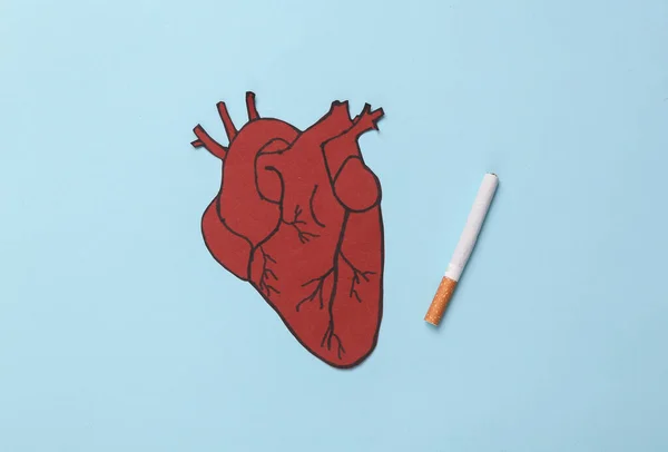 Skada Rökning För Hjärtat Anatomiskt Hjärta Med Cigarett Blå Bakgrund — Stockfoto