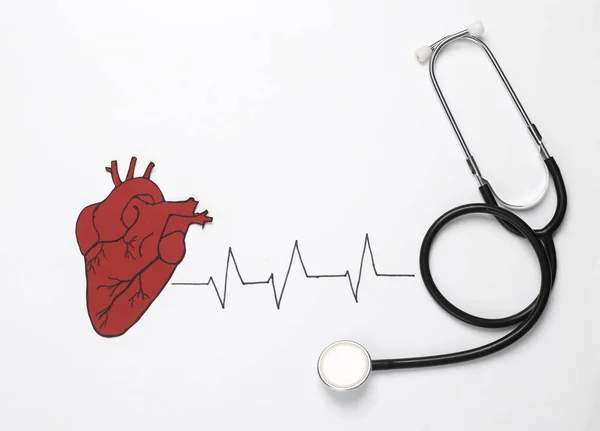 Heart rate line with anatomical heart and stethoscope on white background. Healthy heart concept