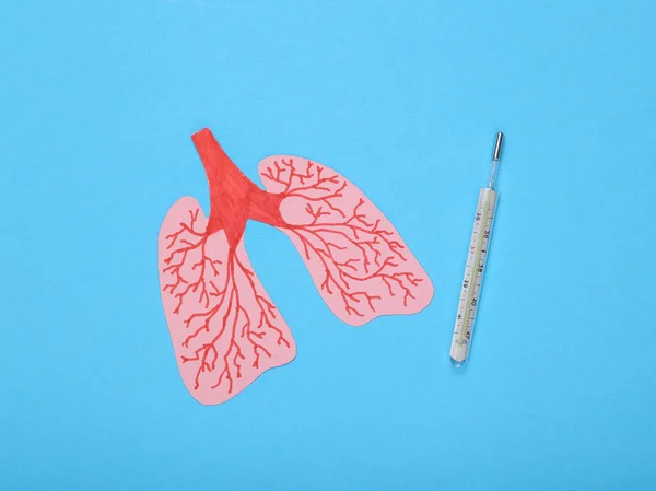 Lungengesundheit Behandlung Und Diagnose Papiergeschnittene Menschliche Lungen Und Thermometer Auf — Stockfoto