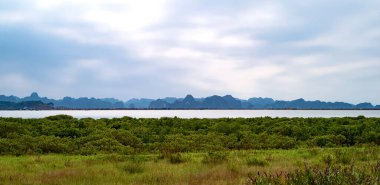 Halong, Vietnam, the islets and stacks of Halong Bay seen from the mainland