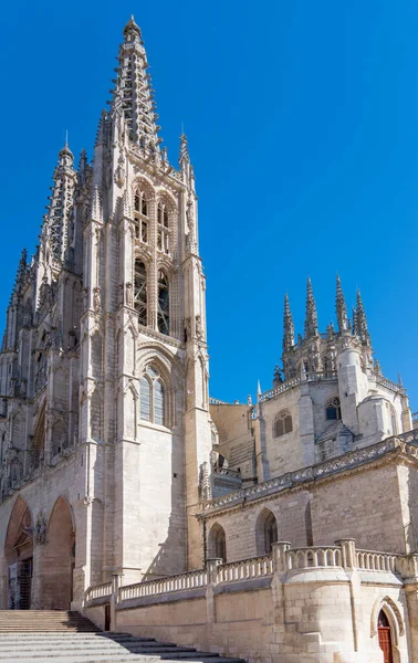 スペイン ブルゴス 聖マリア大聖堂の側面図 — ストック写真