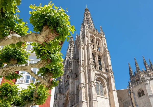 Španělsko Burgos Pohled Nahoru Zvonice Katedrály Marie — Stock fotografie