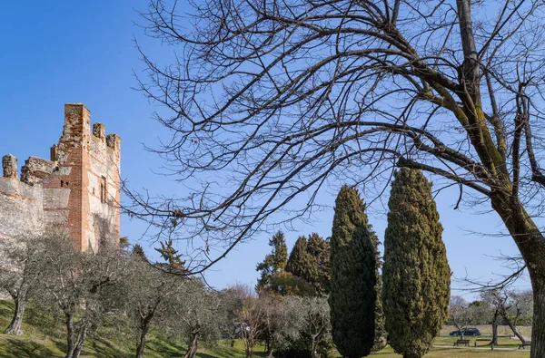 Itália Lazise Muralhas Cidade Vistas Jardim — Fotografia de Stock