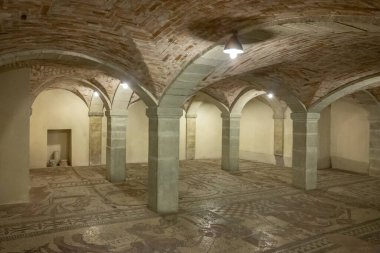 Bobbio, İtalya - 24 Mayıs 2018: 11. yüzyılın zemin mozaikleri San Colombano Manastırı 'nın mahzeninde