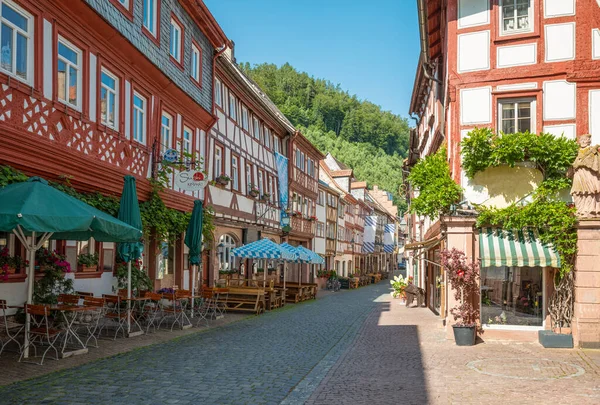 Germany, Miltenberg, the  traditional architectures of the houses with bar and restaurant in the old town