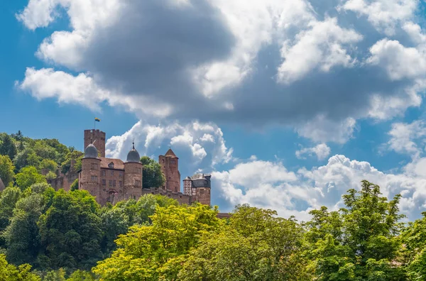 Germany Wertheim Panorama Castle Seen River Main — Stock fotografie