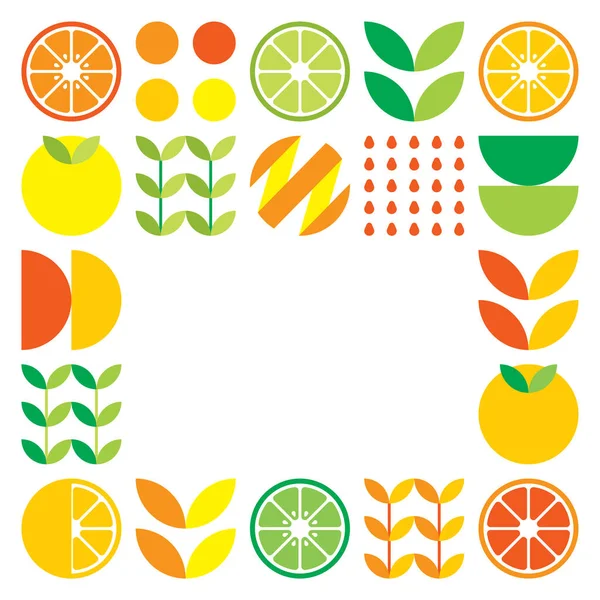 Minimalist Flat Vector Frame Citrus Fruit Symbol Simple Geometric Illustration — Stock vektor