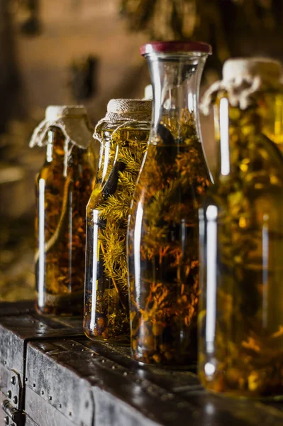 Alkolik içki, yılan kullanarak tentür. Yılan zehriyle doldurulmuş alkol içeceği. Yılan ve otlarla birlikte ev yapımı alkol. Şifalı bitkiler ve yılanlı bir iksir..