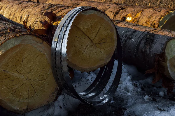 bant testere, kereste işleme ve kesim için kullanılır..