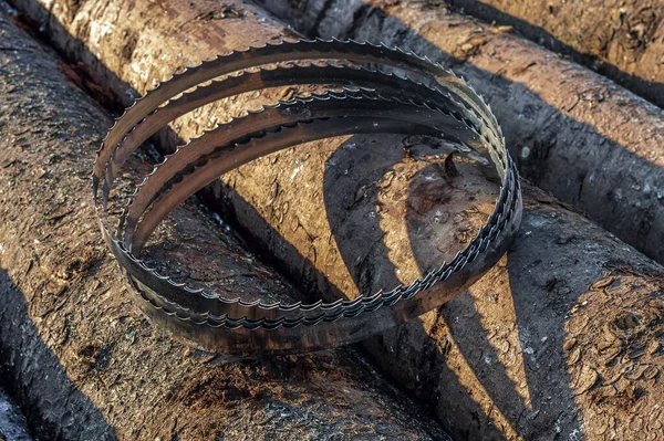 bant testere, kereste işleme ve kesim için kullanılır..